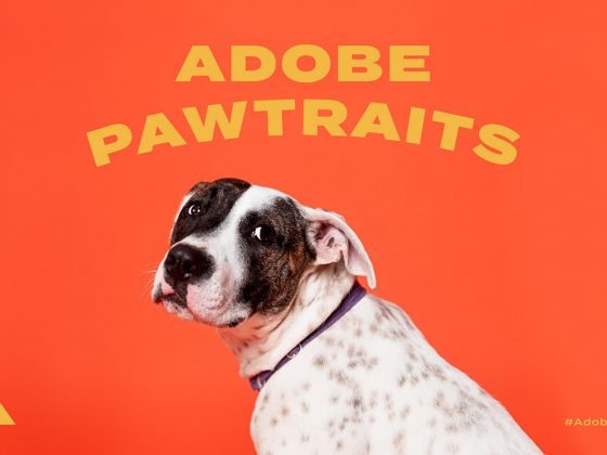 Adobe Pawtraits - Boteco Design