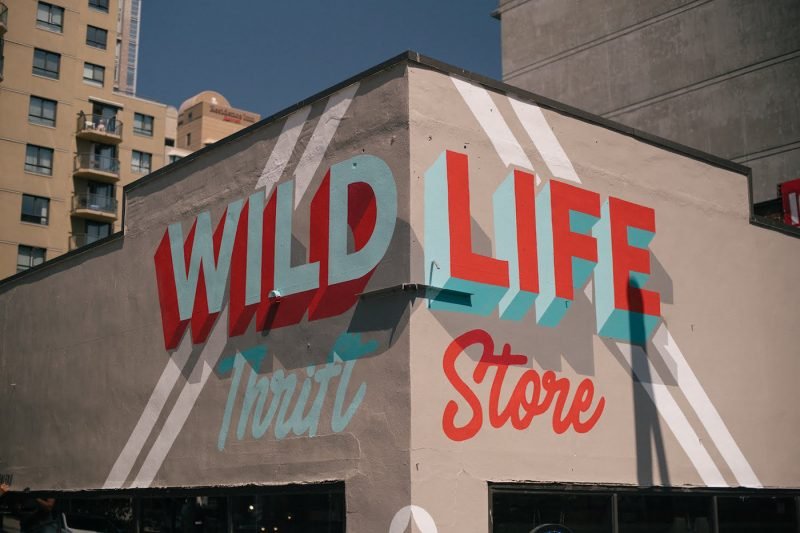 Wildlife Thrift Store - Boteco Design