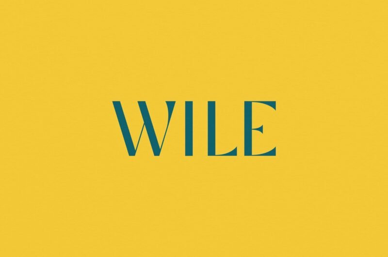 Wile - Identidade Visual - Boteco Design 